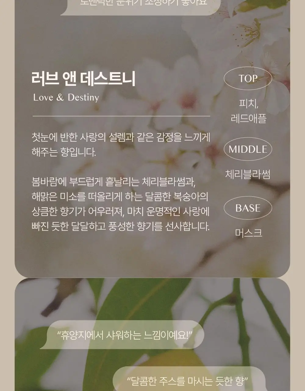 [대용량] 바디브 약산성 미용실 퍼퓸 샴푸 [비듬 가려움 개선] 5종 택 1 상세페이지 30